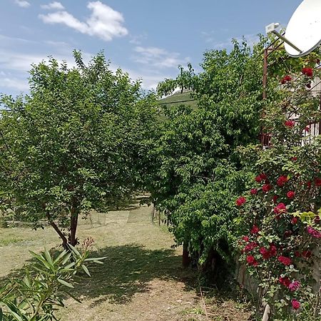 Apartment Natali Kaštel Stari Exterior foto